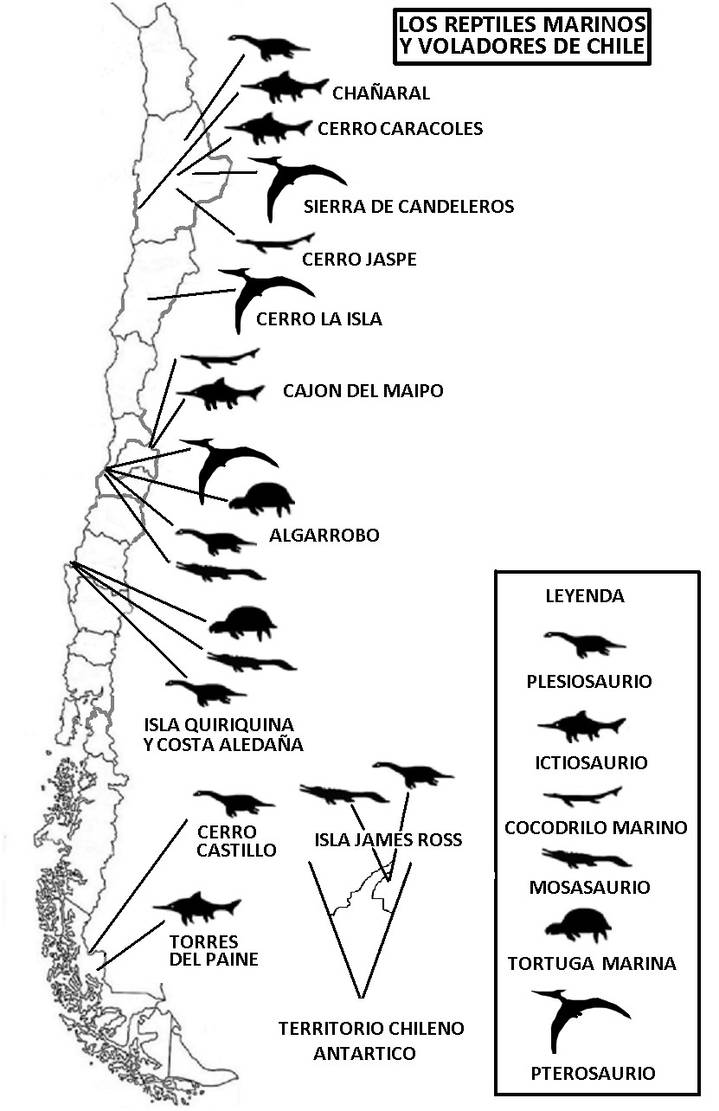 REPTILES MARINOS Y VOLADORES DEL MESOZOICO CHILENO by jorgearagon on