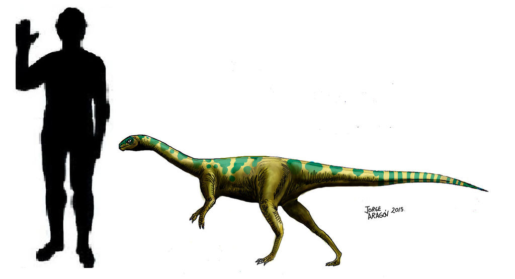 CHILESAURUS DIEGOSUAREZI by jorgearagon on DeviantArt