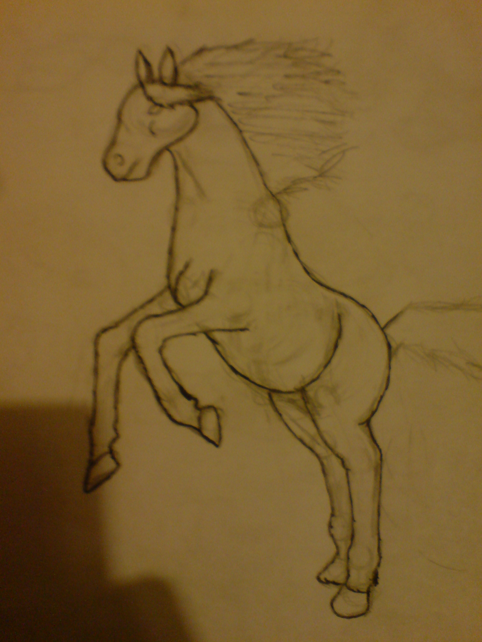 Horse 1