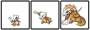 Cubone evo