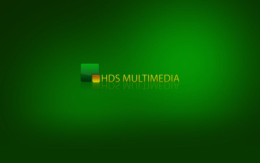 HDS Multimedia - company logo