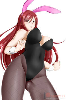 Fairy Tail: Erza Scarlet