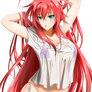 High School DXD: Rias Gremory