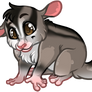 Sugarglider Commission