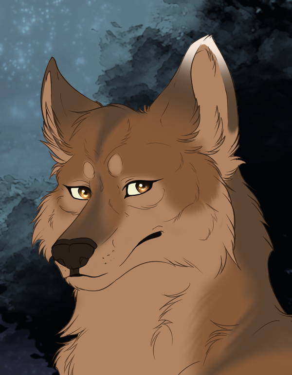 Maiara - Wolf Doodle