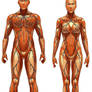 Convergent Paths - Armor - Symbiotic Armor