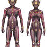 Convergent Paths - Armor - Silintri Military Suit