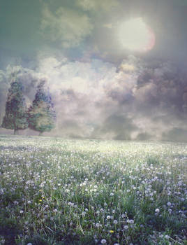 Photomanip background 01