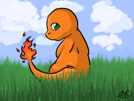 CHARMANDER-Pokemon