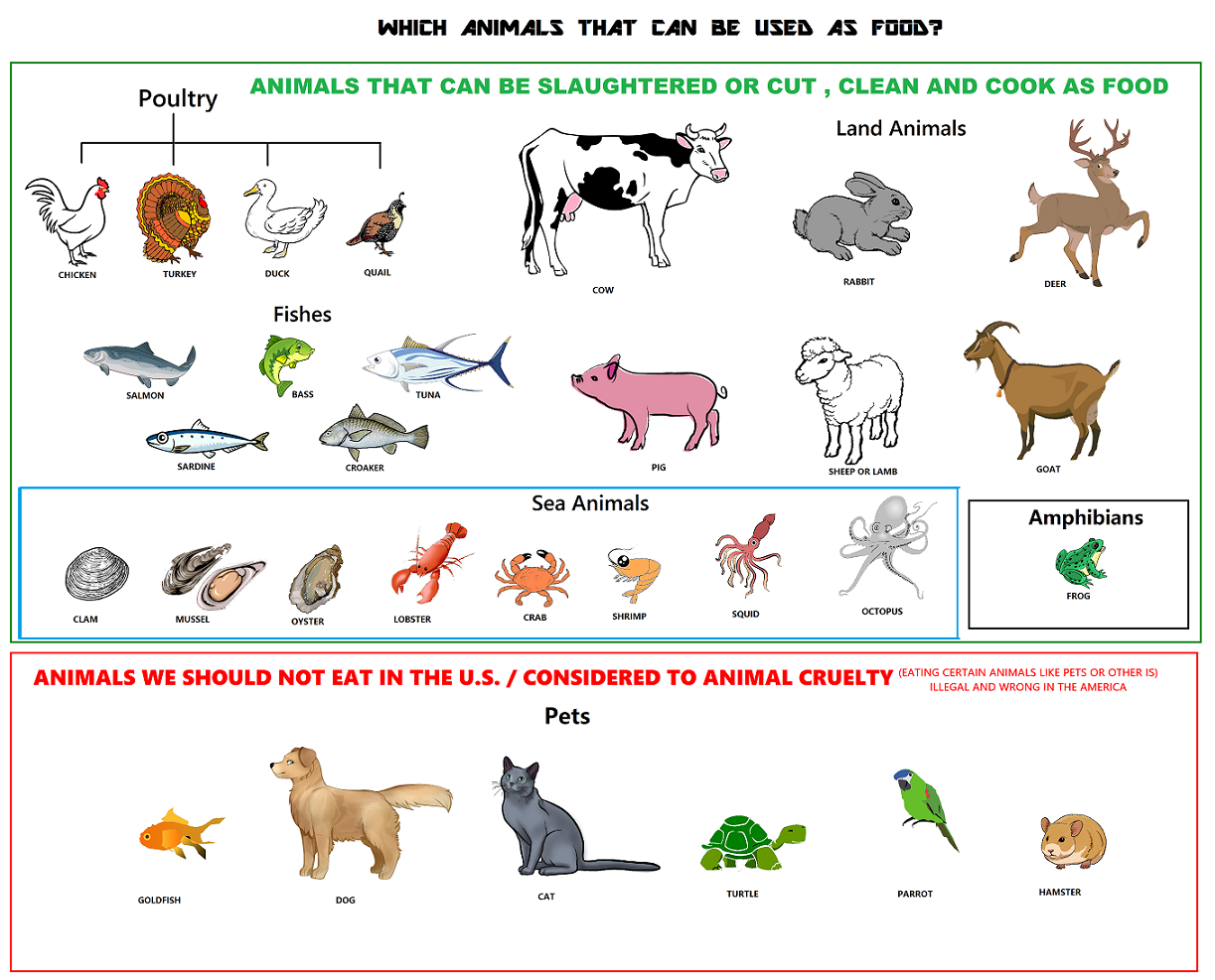 Which Animals that can be made into Food by WhatToEat2021 on DeviantArt Which Animals that can be made into Food by WhatToEat2021 on DeviantArt