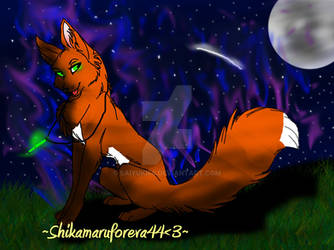 My fursona Saiyuki -fox form-