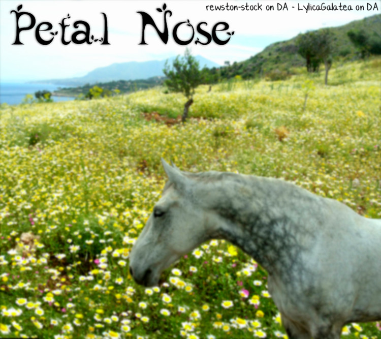 Petal Nose