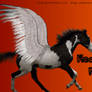 Heaven Acres Pegasus