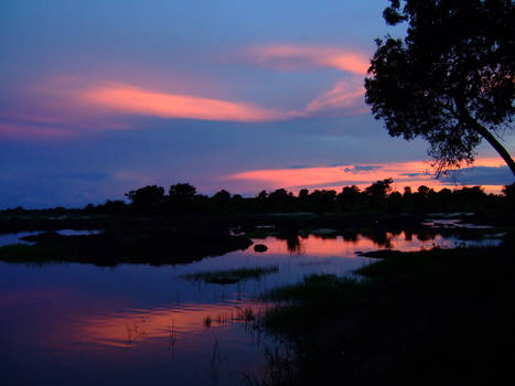 Zambezi Sunset