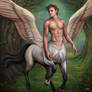 Pegasus Centaur