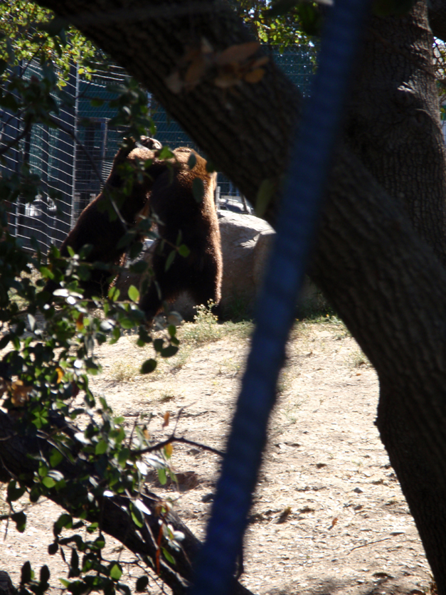 Folsom City Zoo Photo Series10