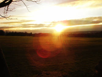 Light on the Moors