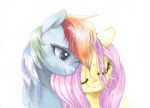 FlutterDash :: Cuddle Bug