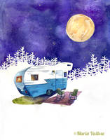 Moonlight Camping