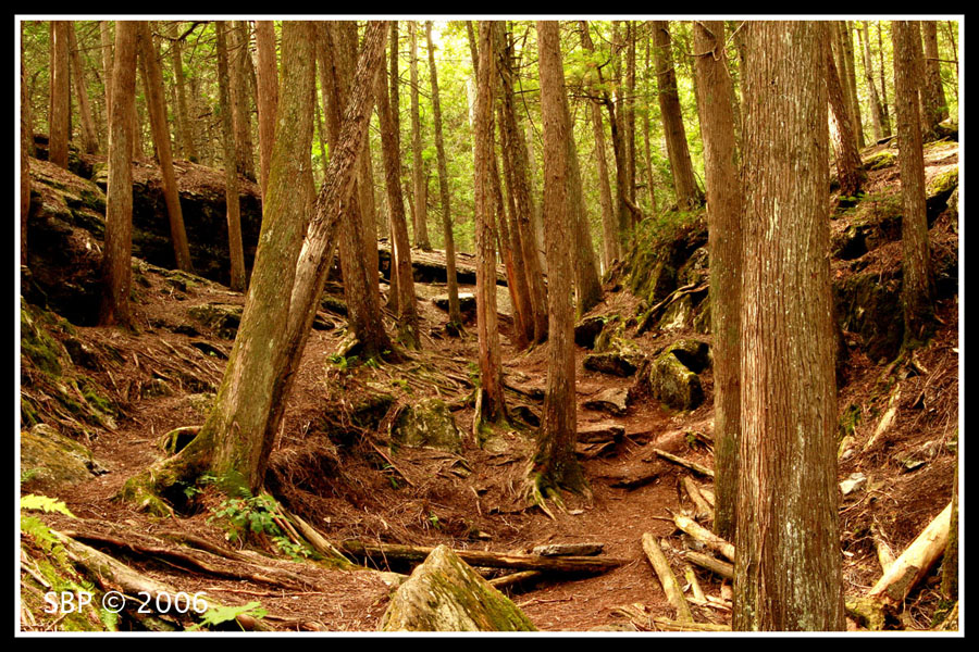 Warsaw Conservation Area