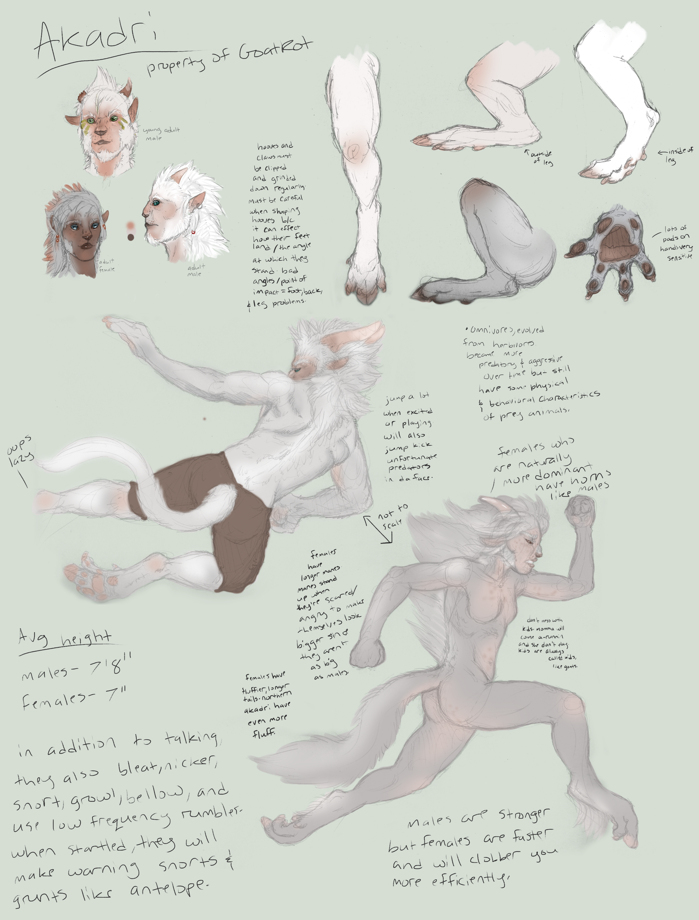 Akadri doodles (added more)