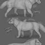 New Ketucari Build Concepts