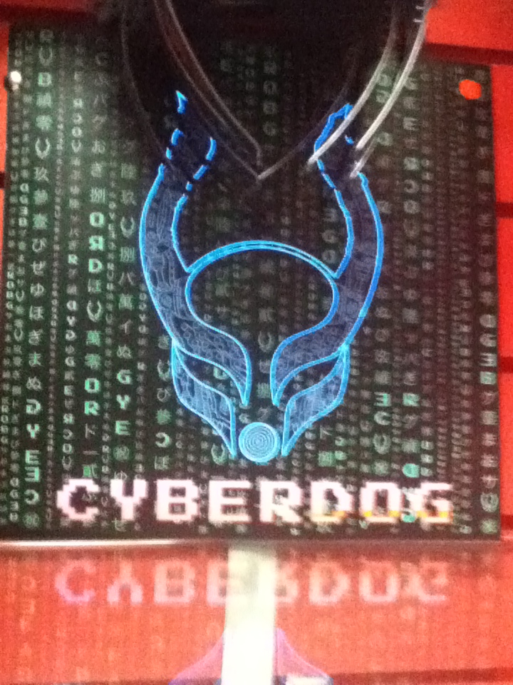 cyber dog