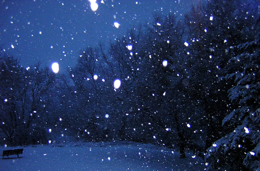 Тишина падающего снега. Снегопад. Снегопад ночью. Зима ночь. Снег ночью.