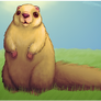 Happy marmot on grassy field