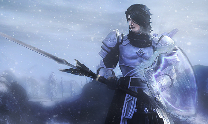 Guild Wars 2 - The Winter Crusader.