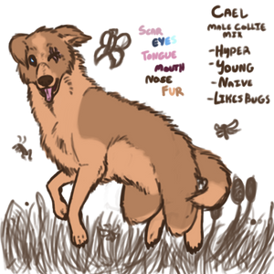 Cael Ref Sheet