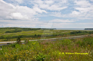 Nature Park Marsh