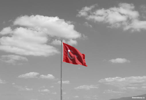 Turkish Flag-4-