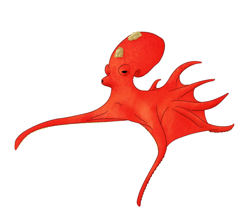 Realistic Octillery