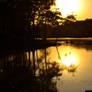 Fishing in the sunset