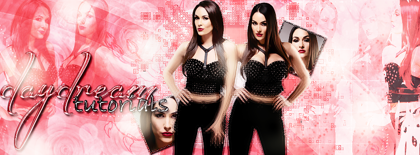 +The bella Twins Portada