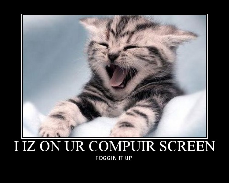 lolcat