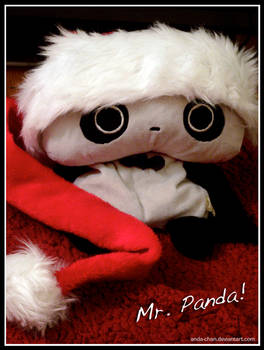 Mr. Panda Introduces: Xmas