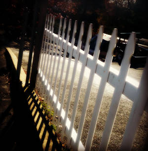 The Fence Leading Home