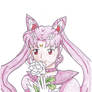 Chibiusa pencils