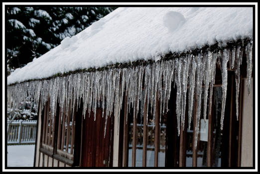 Icicles---closer-view