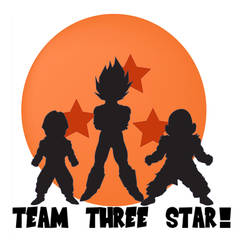 Team 3 Star