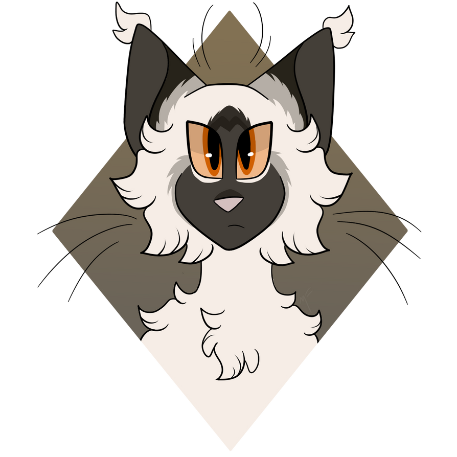 Random Cats Random cat by MidNight-20 on DeviantArt