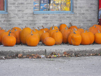 pumpkins.