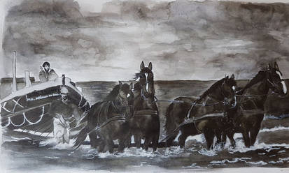 The horses of Ameland