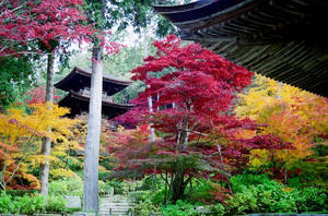 Japanese Temple