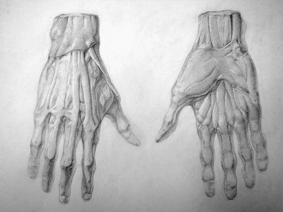 Hands Study 31012013