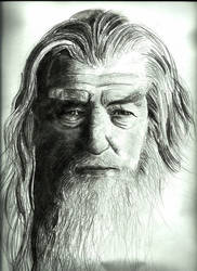 Gandalf Portrait