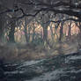 Netflix Castlevania Background : Big tree