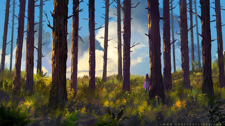 Forest of Liars : the smell of bark